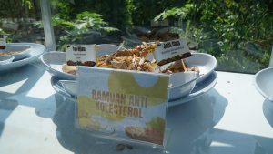 kebun herbal ump 1