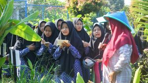 kebun herbal ump